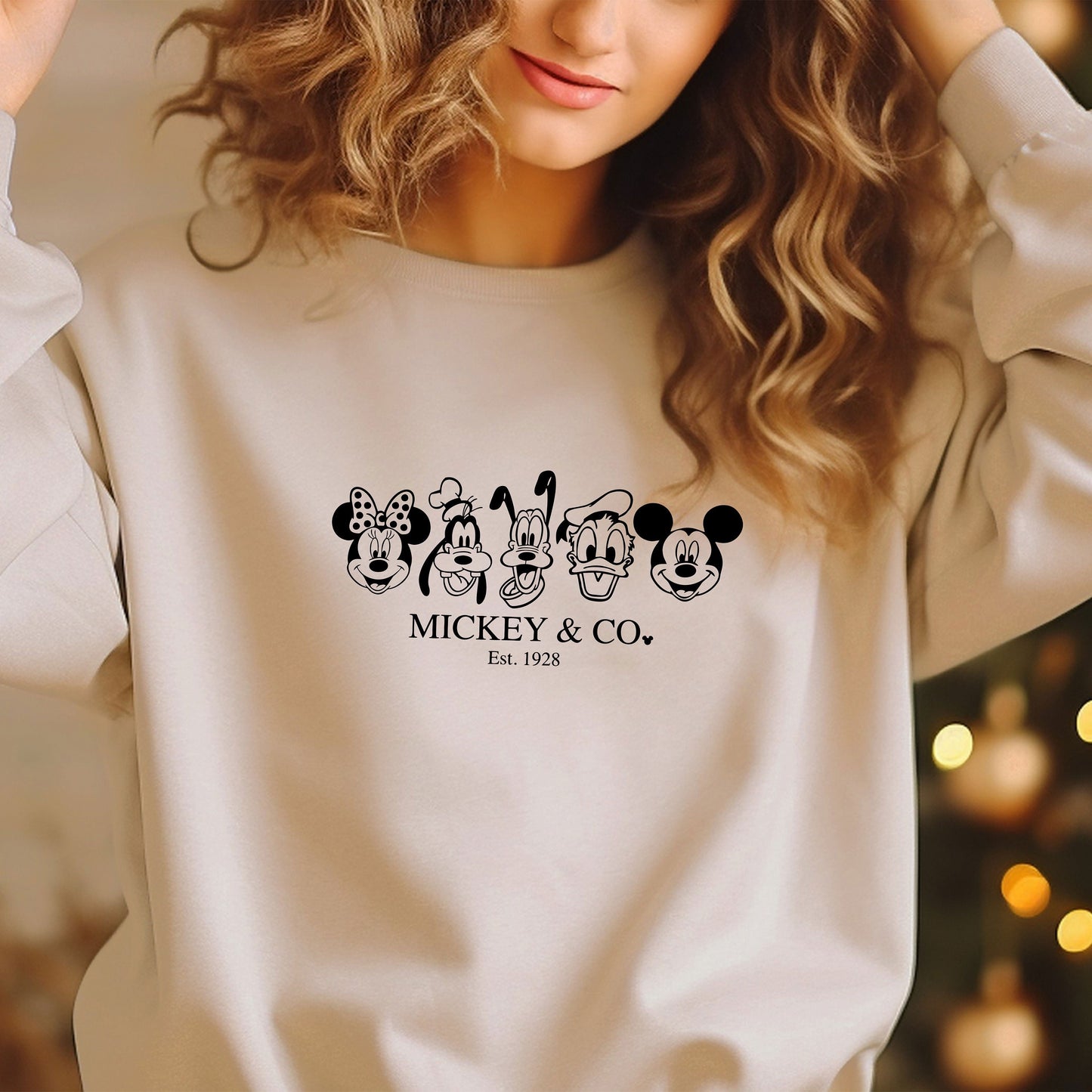 Mickey & Co sweatshirt, Unisex Sweatshirt, Disney hoodie, Disney Friends Shirt, Mickey And Friends Shirt, Disney Group Shirt