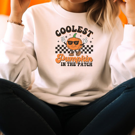 Coolest Pumpkin in the patch Sweatshirt, Coolest Pumpkin Race Shirt, Thanksgiving Shirt, Vintage Halloween Hoodie, Pumpkin Farm Sweatshirt