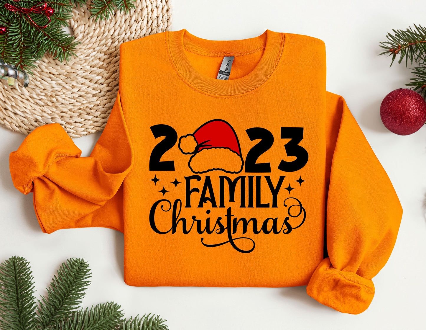 a family christmas sweatshirt with a santa hat on it