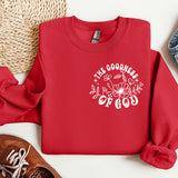 a red sweatshirt with the words the goodness of god printed on it
