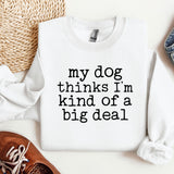 a sweater that says, my dog thinks i'm kind of a big deal