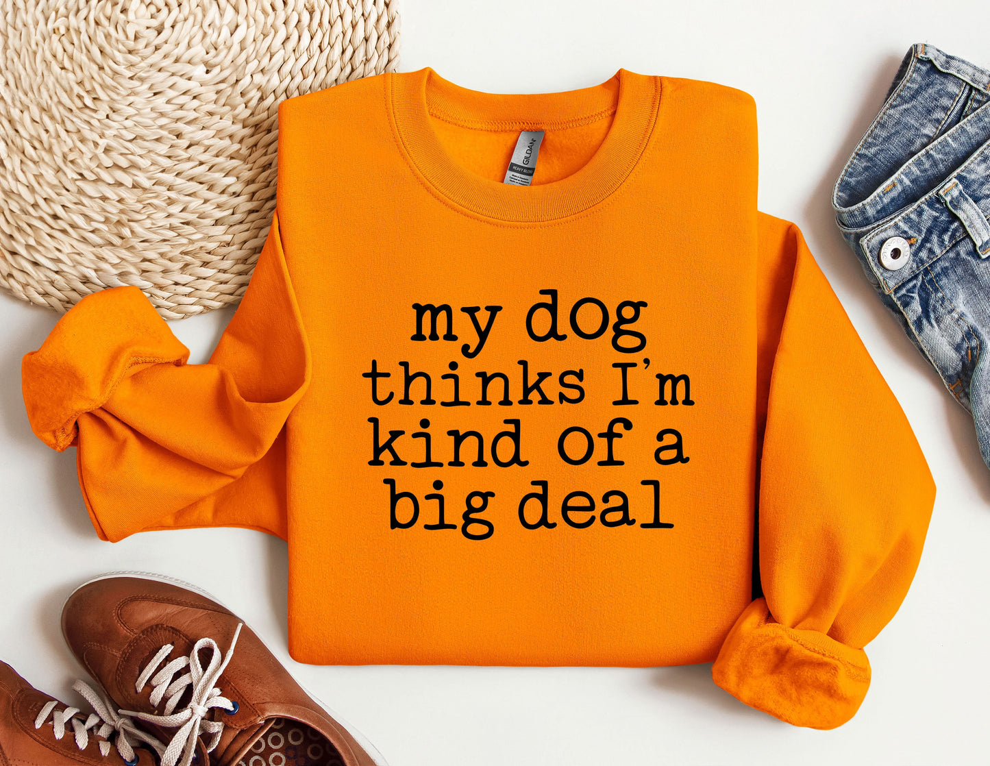 a sweater that says, my dog thinks i&#39;m kind of a big deal