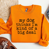 a sweater that says, my dog thinks i'm kind of a big deal