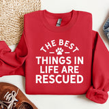a red sweatshirt that says the best things in life are recorded