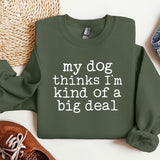 a sweatshirt that says, my dog thinks i'm kind of a big deal