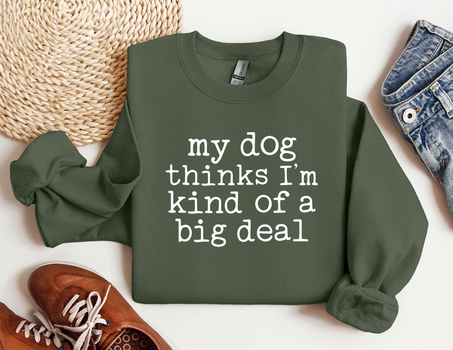 a sweatshirt that says, my dog thinks i'm kind of a big deal
